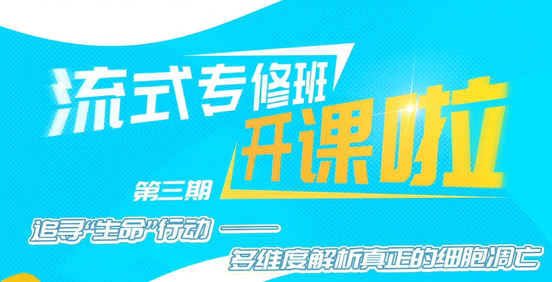 流式专修班 第三期开课啦